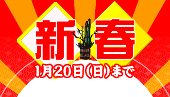 2019新春ハンバーグセール